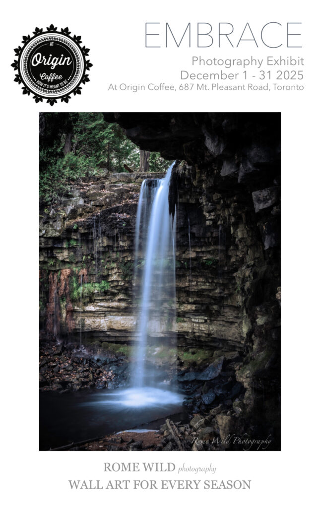 Embrace — photography exhibition by Rome Wild, At Origin Coffee gallery, Toronto, December 2025